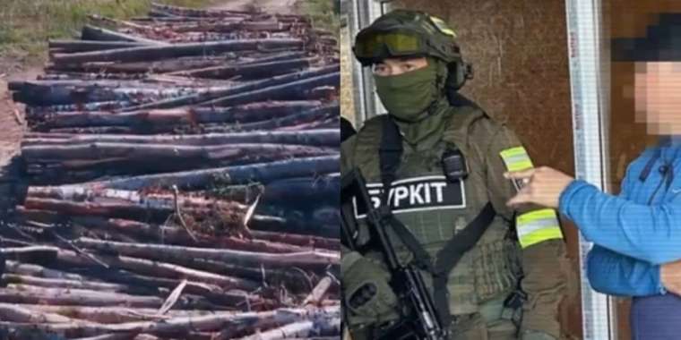 «Семей Орманы» директоры ұсталды (ВИДЕО)