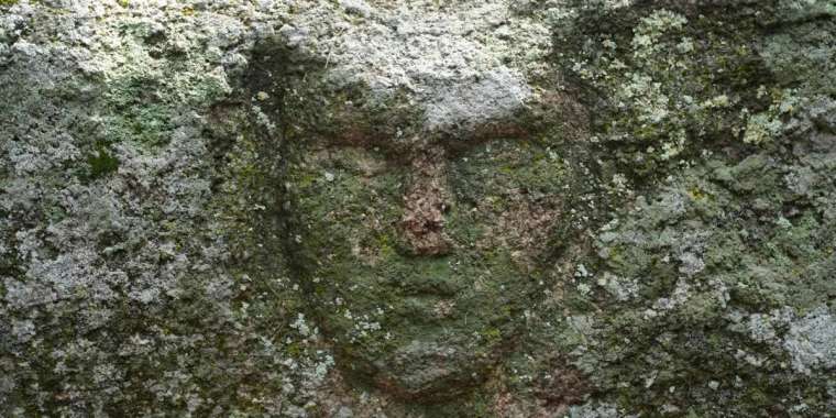 Ақмола облысында тасқа қашалған көне артефакт табылды