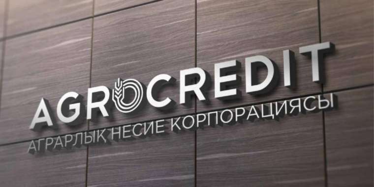 Аграрлық несие корпорациясы филиалының директоры 7 жыл арқалады