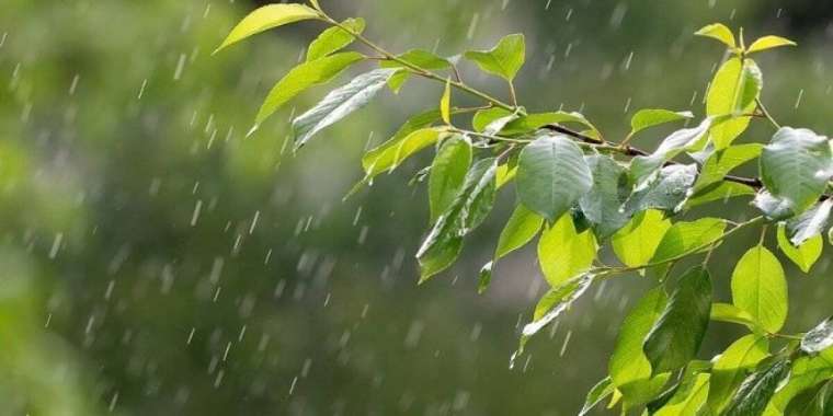 Демалыс күндері ауа райы құбылмалы болады