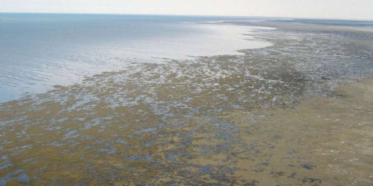 Биыл Арал теңізіне 1,38 млрд текше метр су келді