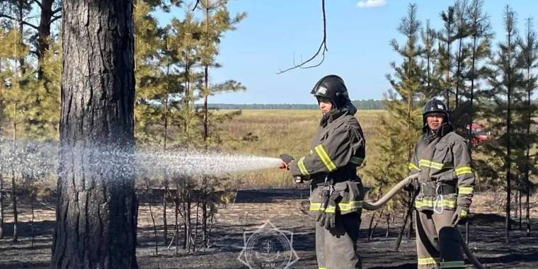 «Семей орманы» резерватынан тағы да өрт шықты