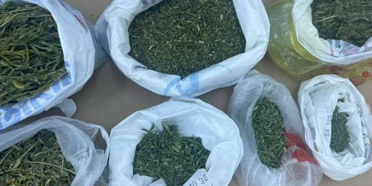 Заңсыз айналымдағы 13 тоннаға жуық есірткі тәркіленді