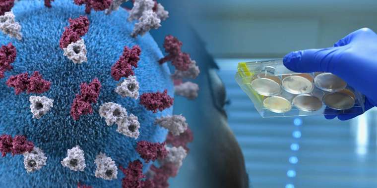 Олимпиадада жүлде алған 3 спортшы мен 2 бапкерден коронавирус анықталды