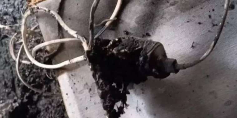 Смартфонның қауаттағышынан өрт шықты: Петропавл тұрғыны комаға түсті