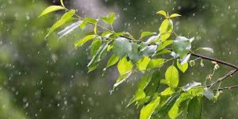 26 тамызға арналған ауа райы болжамы