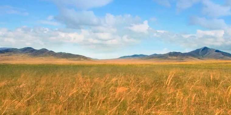 Мемлекет иелігіндегі жерді заңсыз басып алған компаниялар анықталды