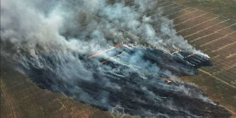 Семей орманында өрт шығып, тракторшы жазаланды