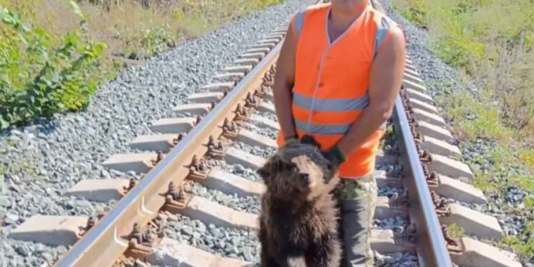 Өскеменде тұрғындарға аю шабуылдады. Әкімдік не дейді?