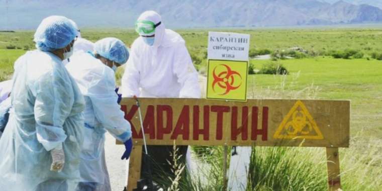 Алматы облысында сібір жарасы бойынша карантин жарияланды