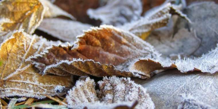 Демалыс күндері қар жауып, үсік жүреді