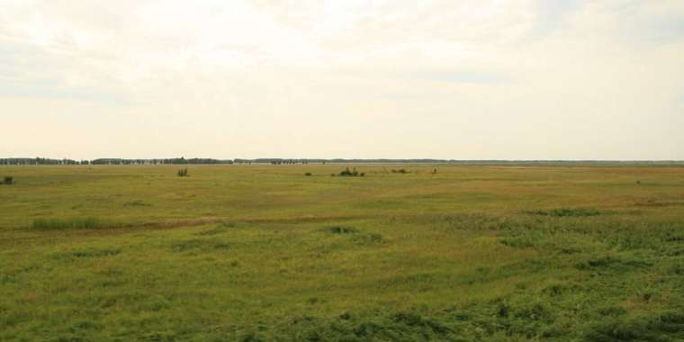 Жамбыл облысында биылдыққа 79 мың га жер мемлекетке қайтарылған