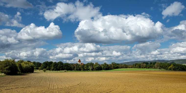 ШҚО-да 160 мың гектар жер мемлекет меншігіне қайтарылады