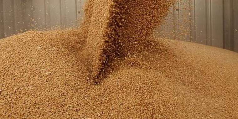 Ресейден Талдықорғанға заңсыз бара жатқан 4 вагон бидай кері қайтарылды