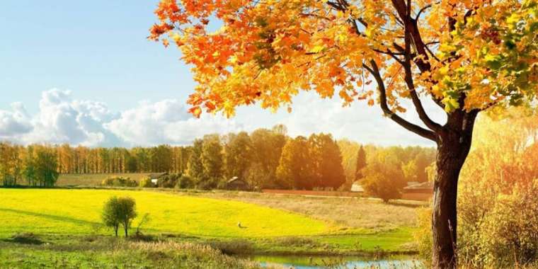 10 кыркүйекке арналған ауа райы болжамы