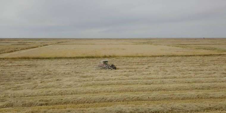 Алматы облысында 3 мың га жер мемлекетке қайтарылды