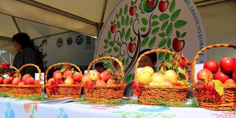 Алматыда Apple Fest-те 127 тонна алма сатылымға шығарылады