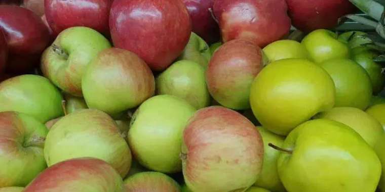 1700 литр алма шырыны. Алматылықтар ерекше рекорд жасады