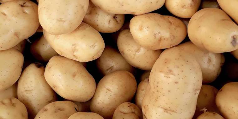 Ресейден заңсыз кіргізілмек болған 171 тонна картоп кері қайтарылды