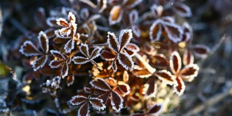 Тұман, үсік, жел. Синоптиктер ескерту жасады