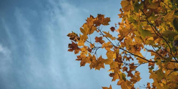 21 қыркүйекке арналған ауа райы болжамы