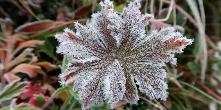 25 қыркүйекке арналған ауа райы болжамы