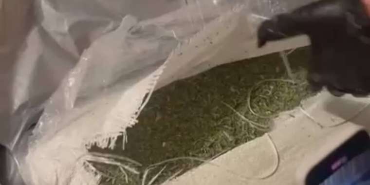 Астанада 34 келіге жуық марихуана тәркіленді (ВИДЕО)