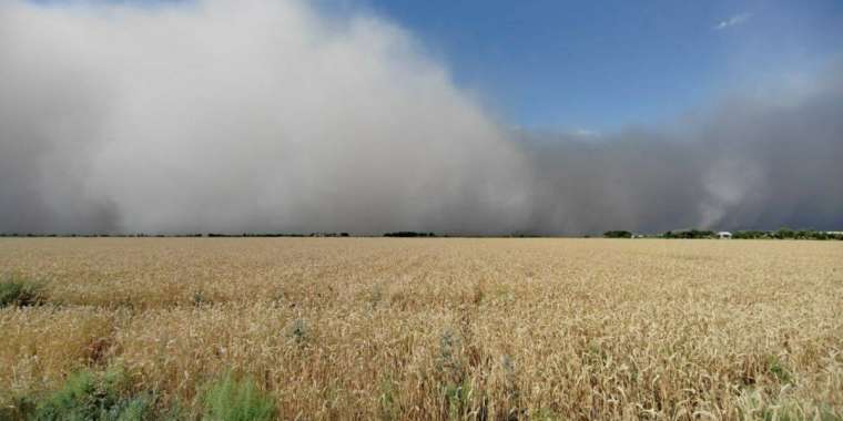 Шаңды дауыл, тұман. Бүгін күн райы қалай болады?