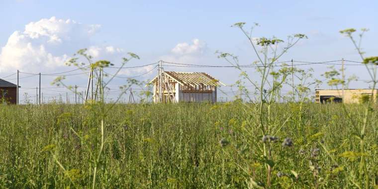 Ақмола облысында құны 70 млн теңге болатын жер мемлекетке қайтарылды