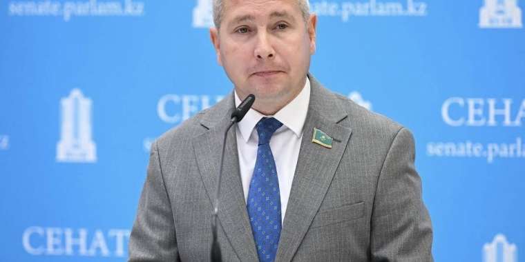 Депутат TikTok-ты шектеуді немесе бұғаттап тастауды ұсынды