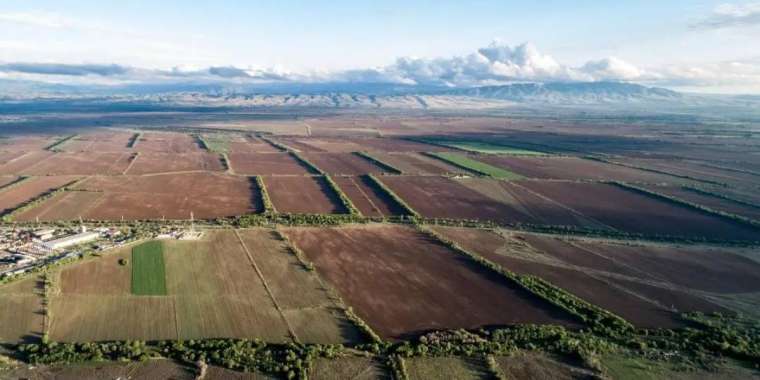 Жер телімін заңсыз иеленгендерге 4  млн теңге айыппұл салынды