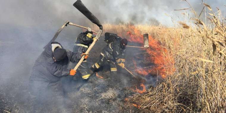 Ақтөбе маңында өзен бойындағы қамыстан өрт шықты