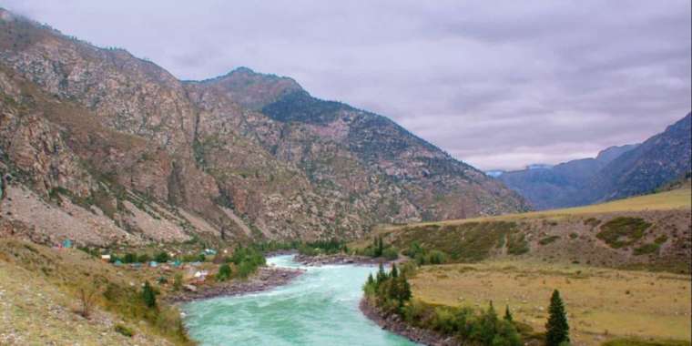 Жетісу облысында 221 гектар жер мемлекетке қайтарылды