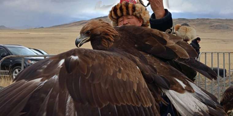 «Тарихымыз бен мәдениетімізді паш ететін мүмкіндік». ШҚО-да құсбегілер фестивалі аяқталды