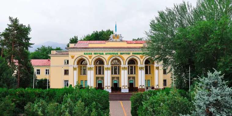 Аграрлық университеттің қызметкері сотталды