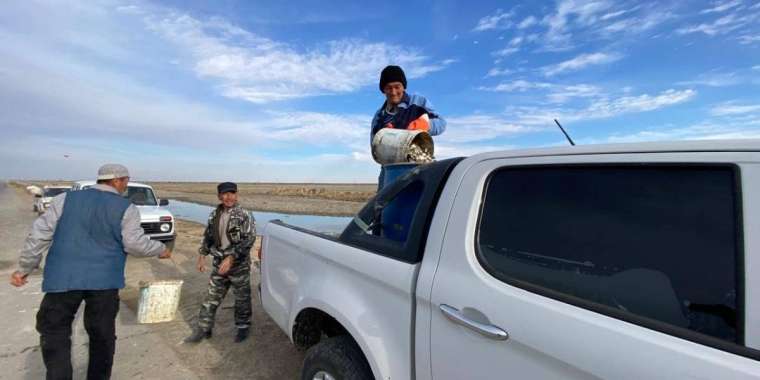 АШМ балық шабақтары қалай құтқарылып жатқанын көрсетті (ВИДЕО)