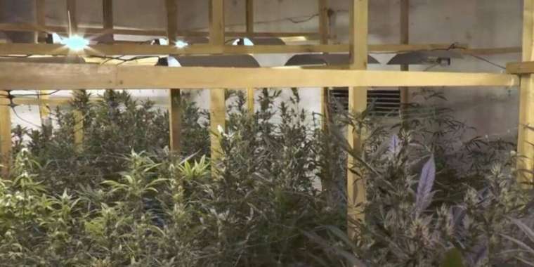 Алматыда ірі есірткі зертханасы жойылды