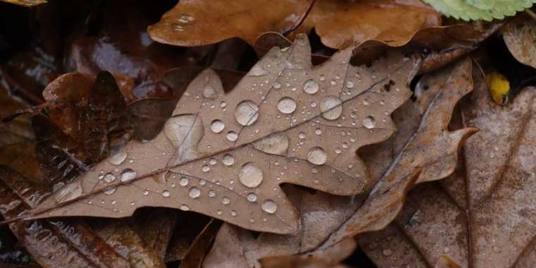 11 өңірдің көлік жүргізушілеріне ескерту жасалды