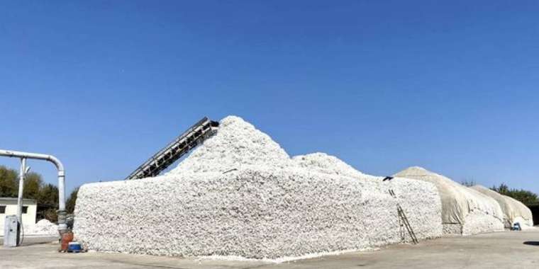 Түркістан облысында 40 тонна мақта жанып кетті