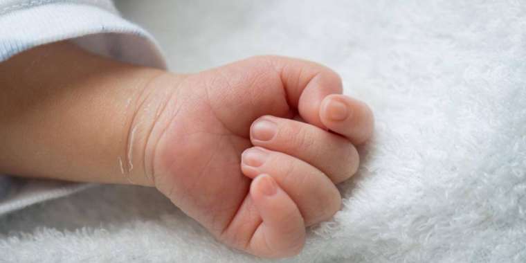 Республика күні Түркістан облысында 122 нәресте өмірге келді