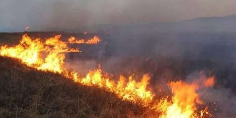 Дала мен орман өртінен сақтану жолдары