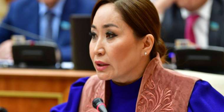 Депутат бала күтіміне берілетін демалысты ұзартуды ұсынды