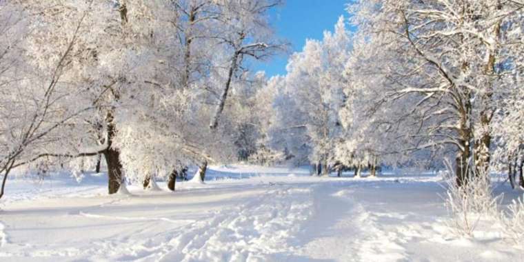 12 қарашаға арналған ауа райы болжамы