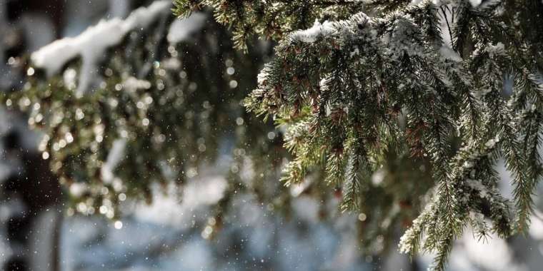 Қар жауып, жел күшейеді: 13 қарашаға арналған ауа райы болжамы