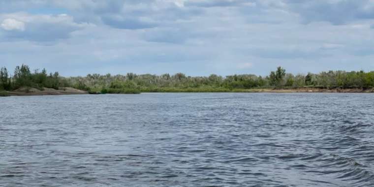 Жайыққа тасталған бойжеткеннің мәйіті бір айдан бері табылмай жатыр