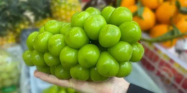 Хит болған шайн мускат жүзімінен нитрат табылды