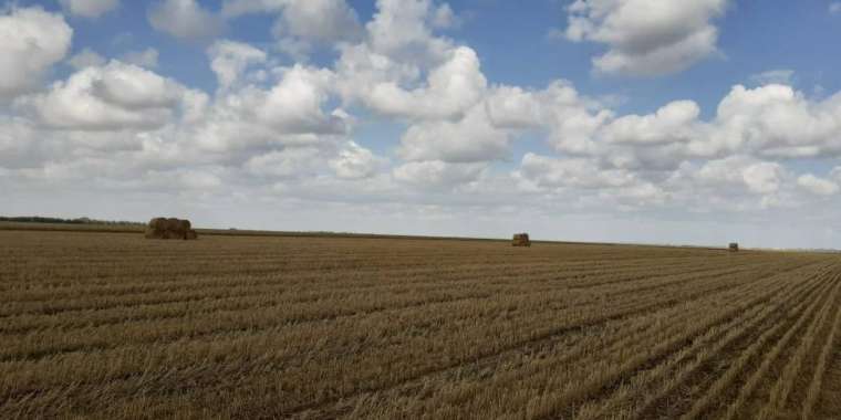 СҚО-да 30 мың га астам жер мемлекетке қайтарылған