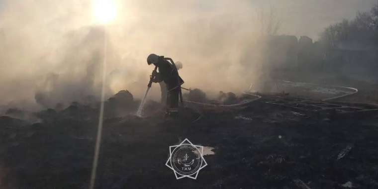 БҚО-да жиналған шөп өртеніп, 14 бас мал қырылды