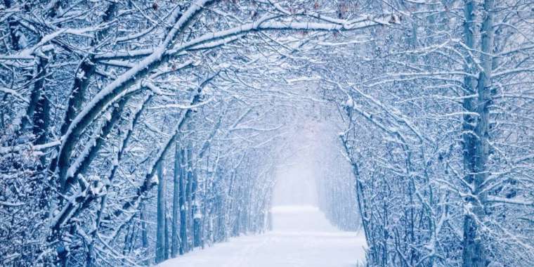 Интернеттегі супер минет