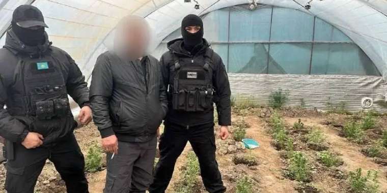 Есірткі зертханасын жасаған қызылордалық 12 жылға сотталды